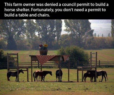 horse shelter